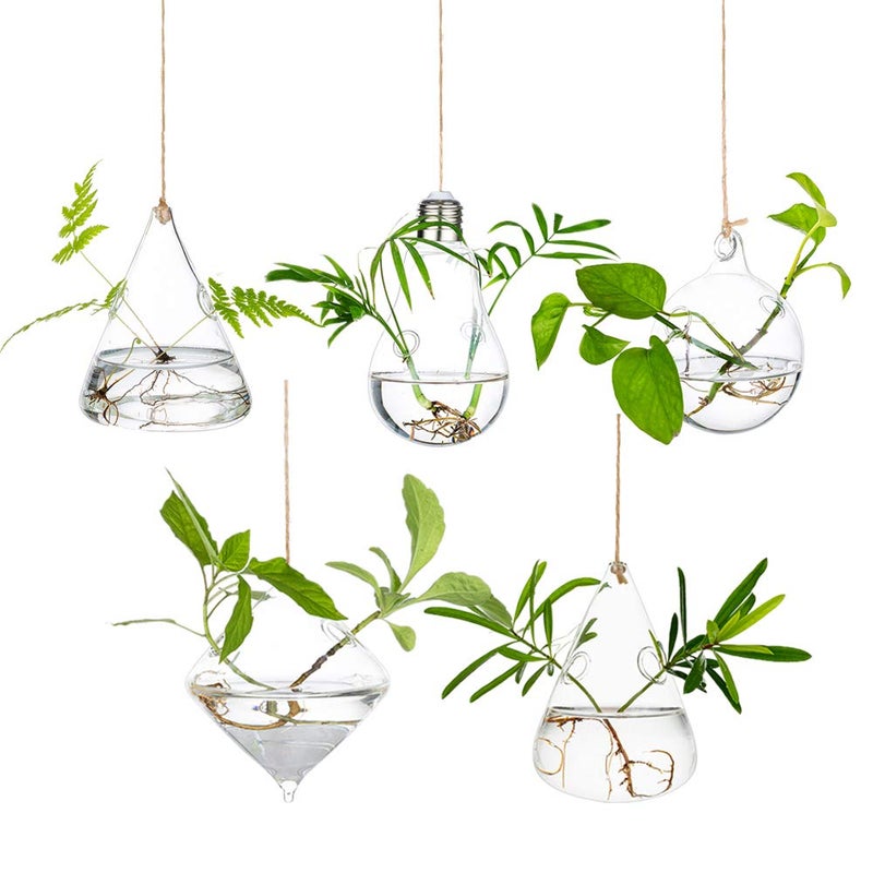 Glasseam Hanging Planters Glass Terrarium: 5Pcs Modern Plant Propagation Stations Hydroponic Wall Vases for Air Plants Flowers Indoor Window Home Decor - Image 1